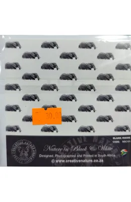 mvimg-20250918-130646