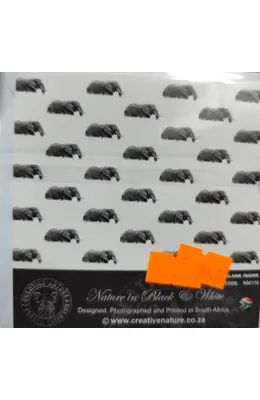 mvimg-20250918-130555-1