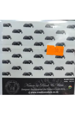 mvimg-20250918-130441-1