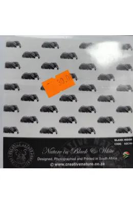 mvimg-20250918-130504