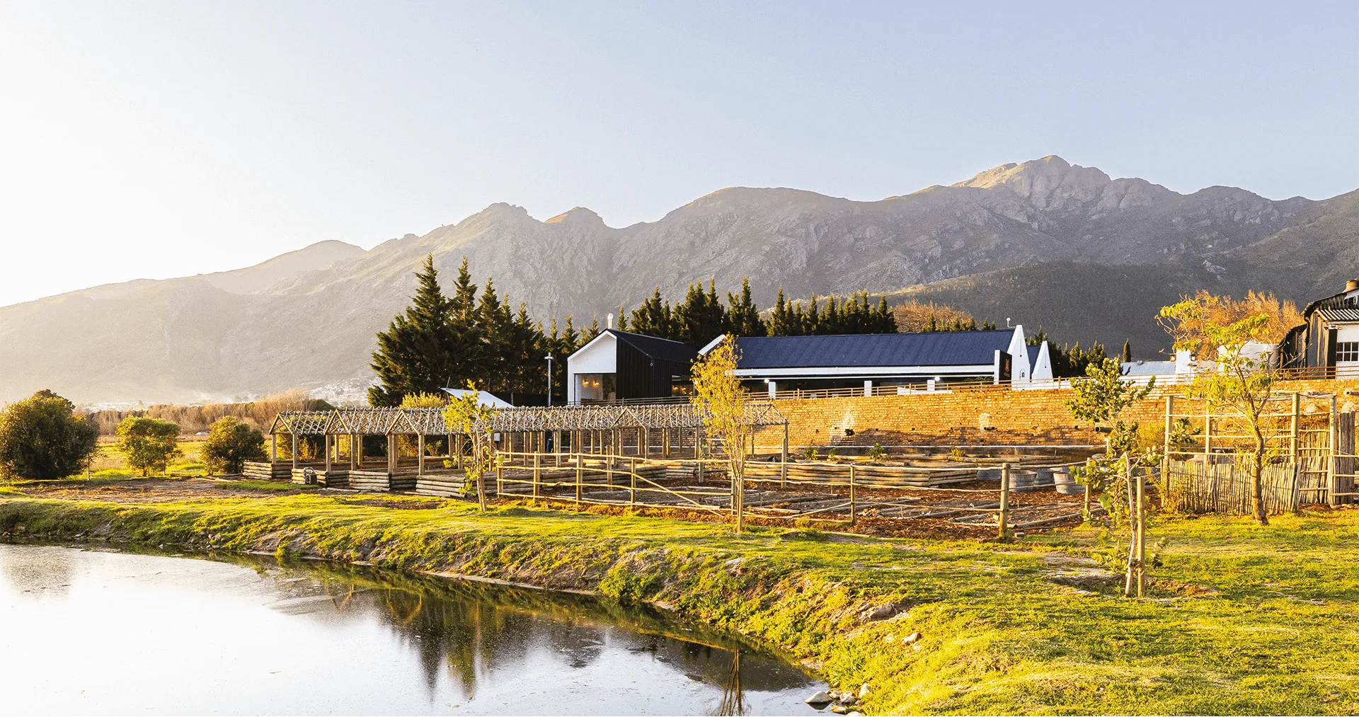 backsberg wine farm