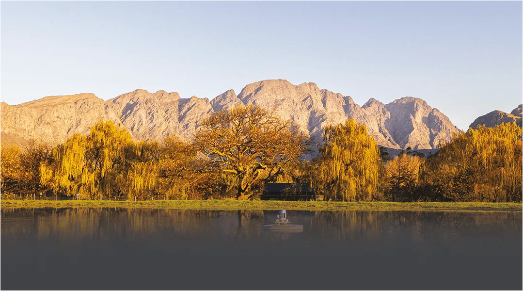 backsberg environment