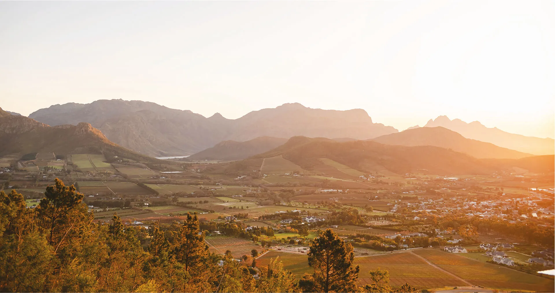 backsberg contact us