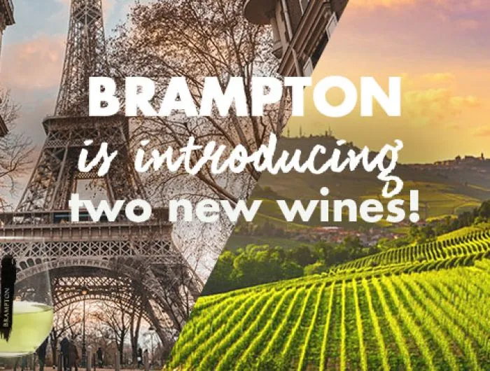 Brampton is introducing two new wines!