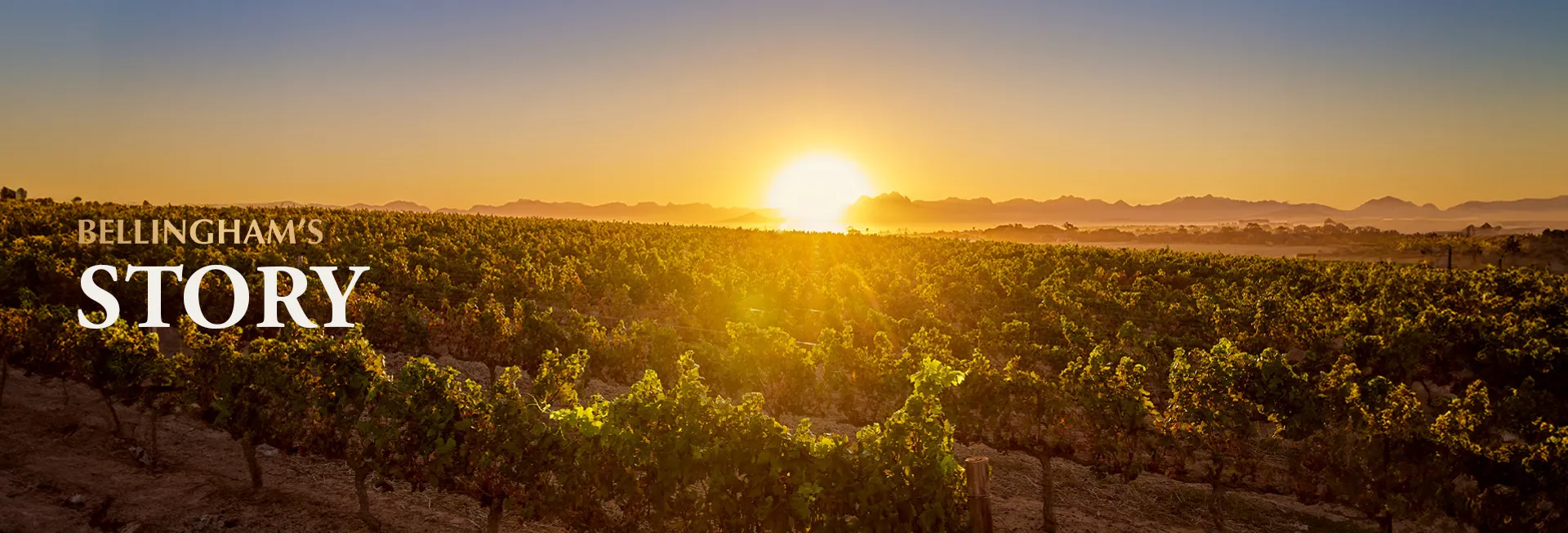 Welcome to Bellingham