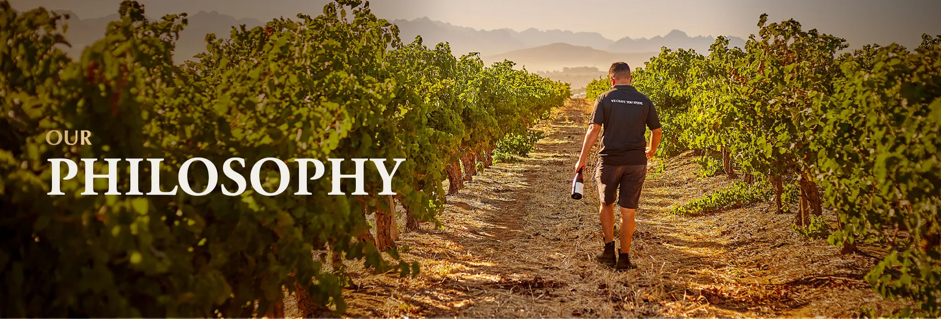 Welcome to Bellingham