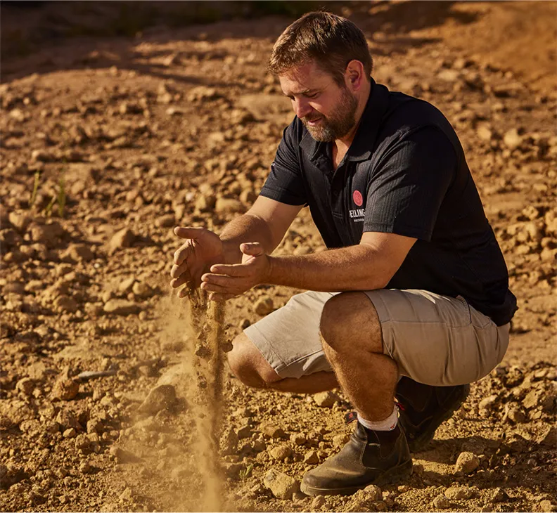 founders series wines